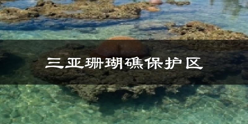 三亚珊瑚礁保护区今日天气